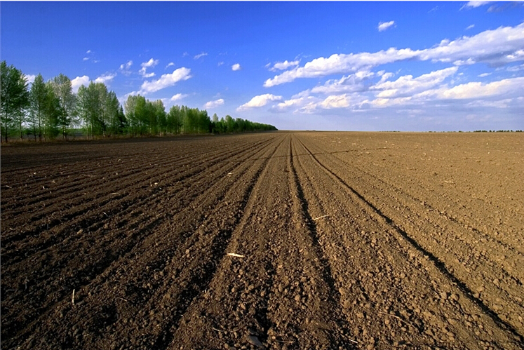 農(nóng)業(yè)“三項(xiàng)補(bǔ)貼”合并為農(nóng)業(yè)支持保護(hù)補(bǔ)貼，變激勵(lì)性補(bǔ)貼為功能性補(bǔ)貼、覆蓋性補(bǔ)貼為環(huán)節(jié)性補(bǔ)貼