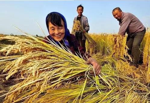 重磅！繼包產(chǎn)到戶之后，我國農(nóng)村又一次迎來重大改革